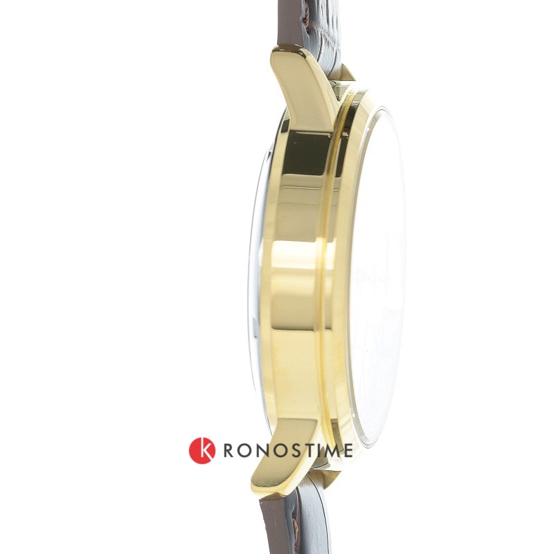 Фотография часов Orient Automatic RA-AC0F04S_28