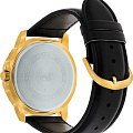 Часы Casio Collection MTP-VD300GL-1EUDF (MTP-VD300GL-1E) фото 2