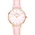 Часы Daniel Wellington Petite DW00100633